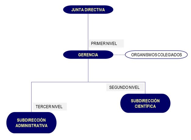 Estructura Organica